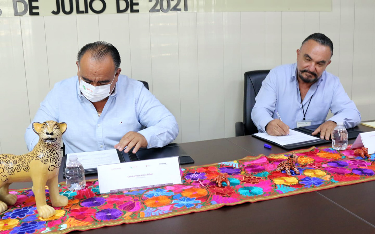 cecyterreno020821