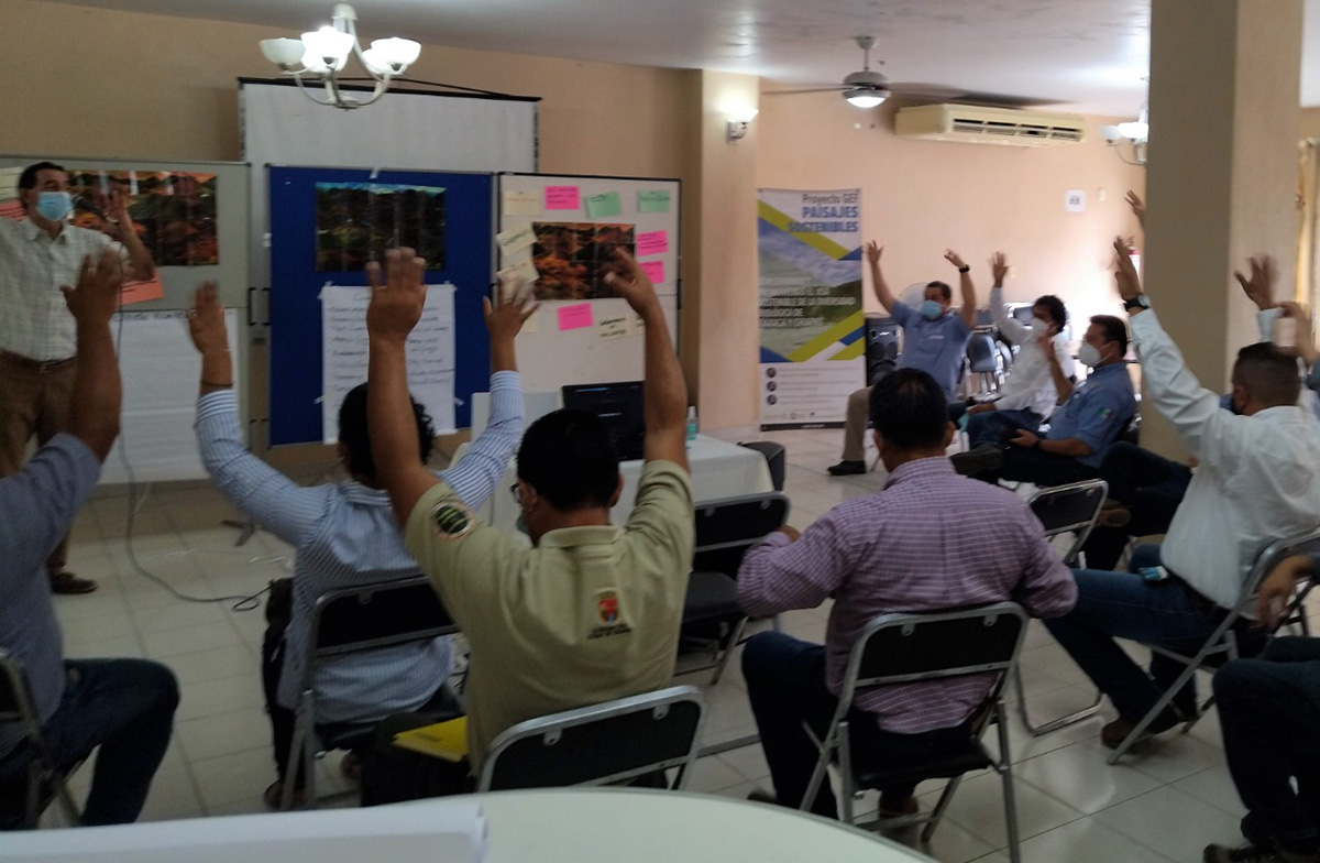 semahnordenamiento110821