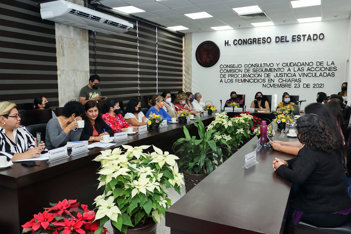 congresoviolgenero251121