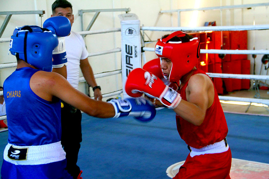 Boxeo 6