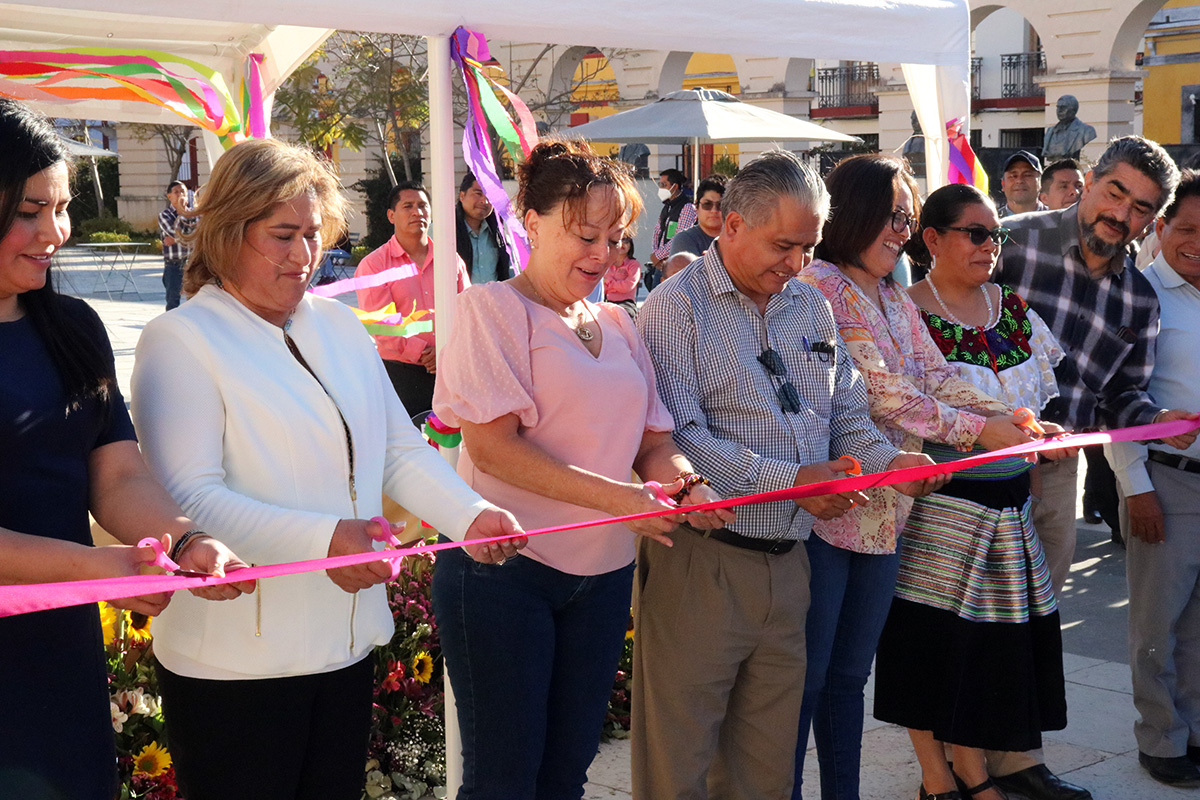 seferiaeducinicial-a070323