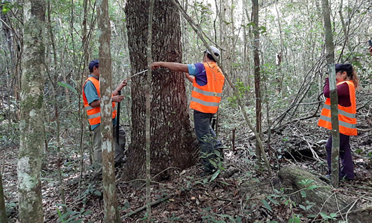 semahnbosques210423