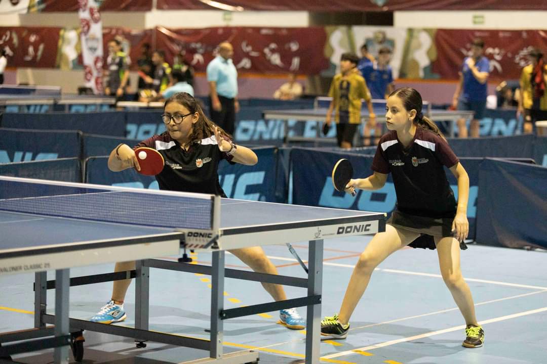 Tenis de mesa