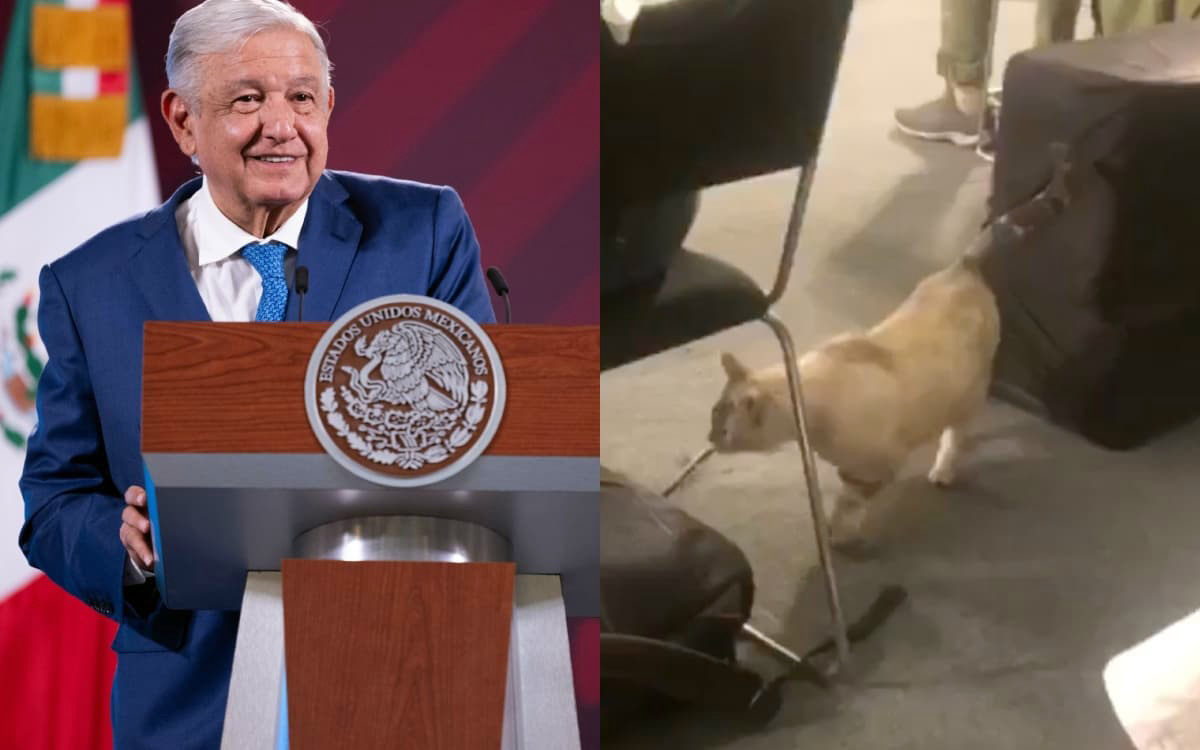 amloinfluyentismo140723