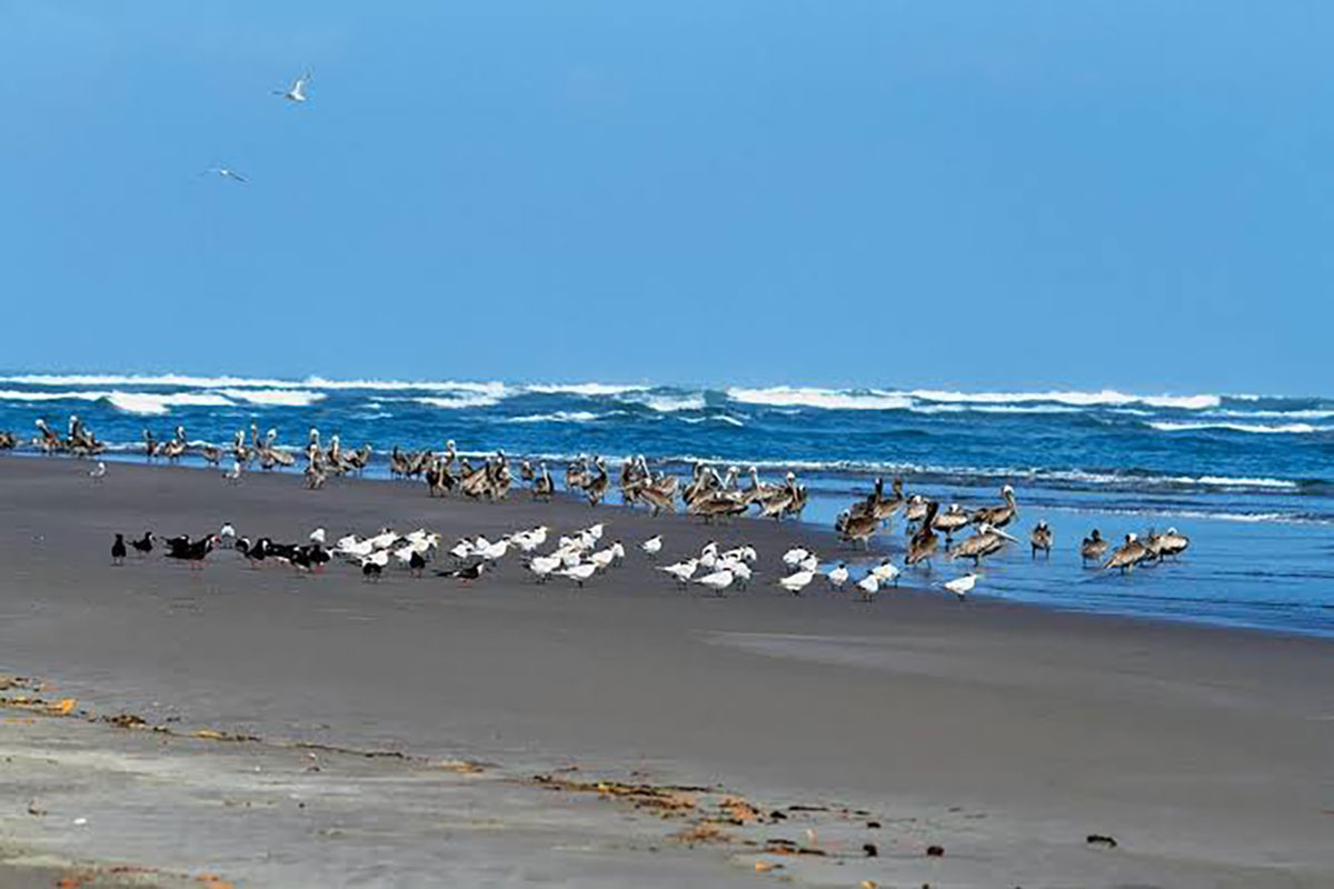 turismochis300124