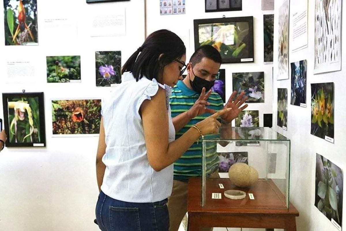 semahnorquideas120224