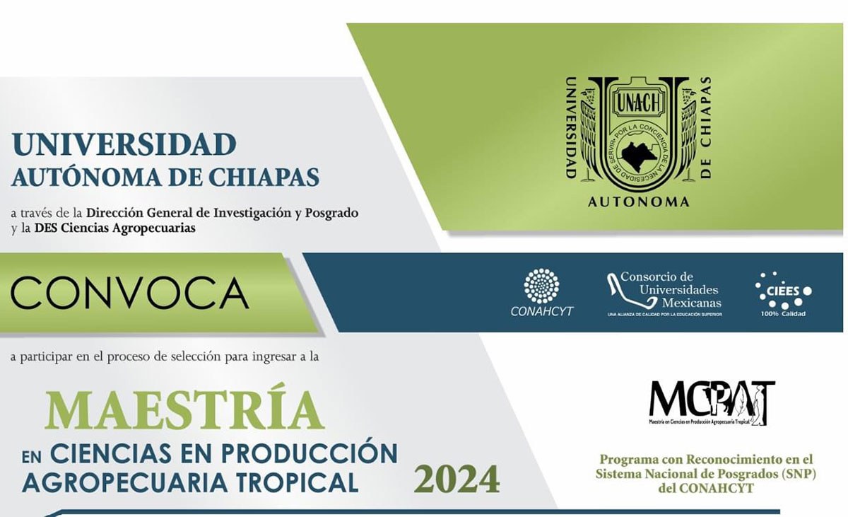 unachmaestria050424