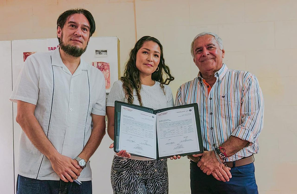 mangoataulfotapachula260225a
