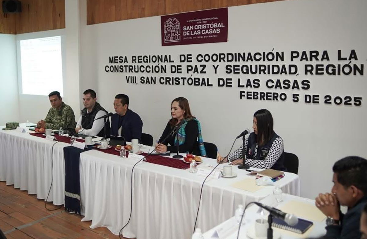 sclcseguridad060225