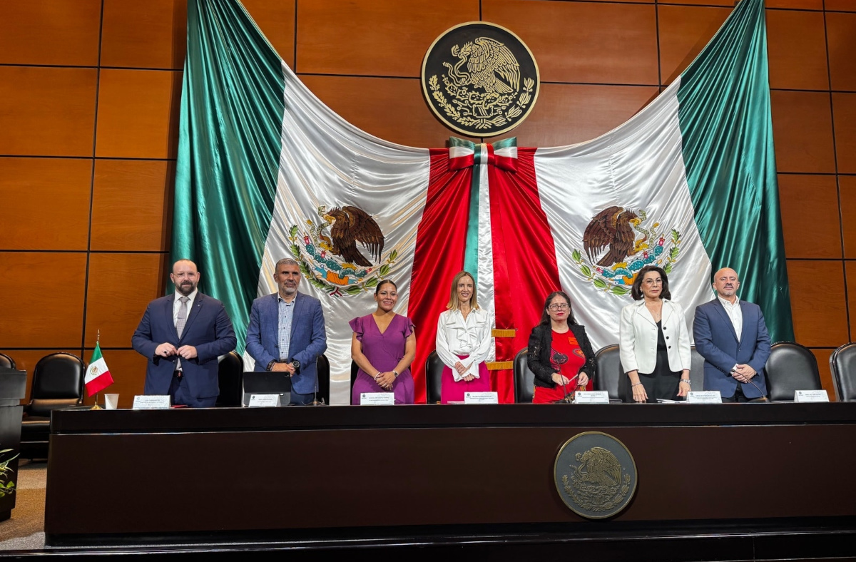 torresdiputados040425