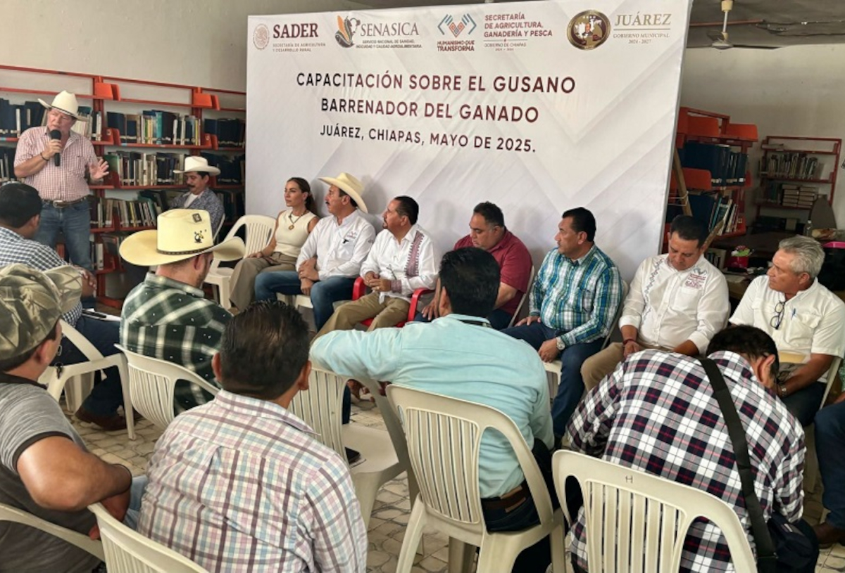 descartan40aganado230525