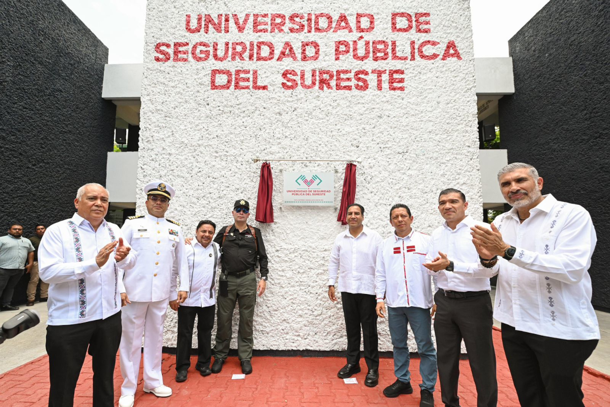 eraseguridadchis250625