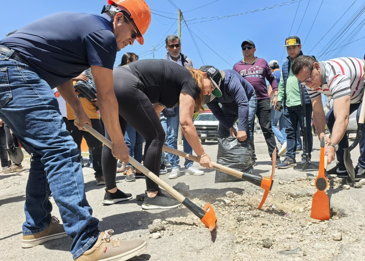sclcbacheo210725