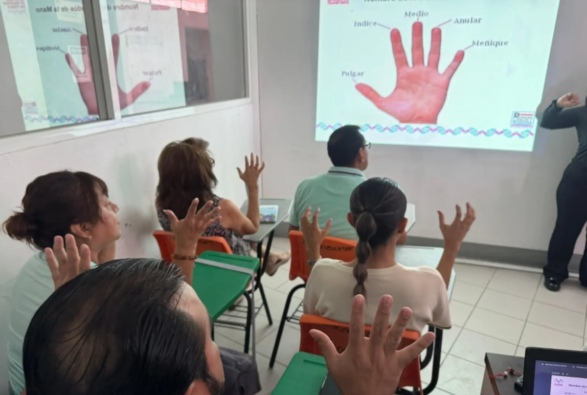 ssplenguajesenias060825