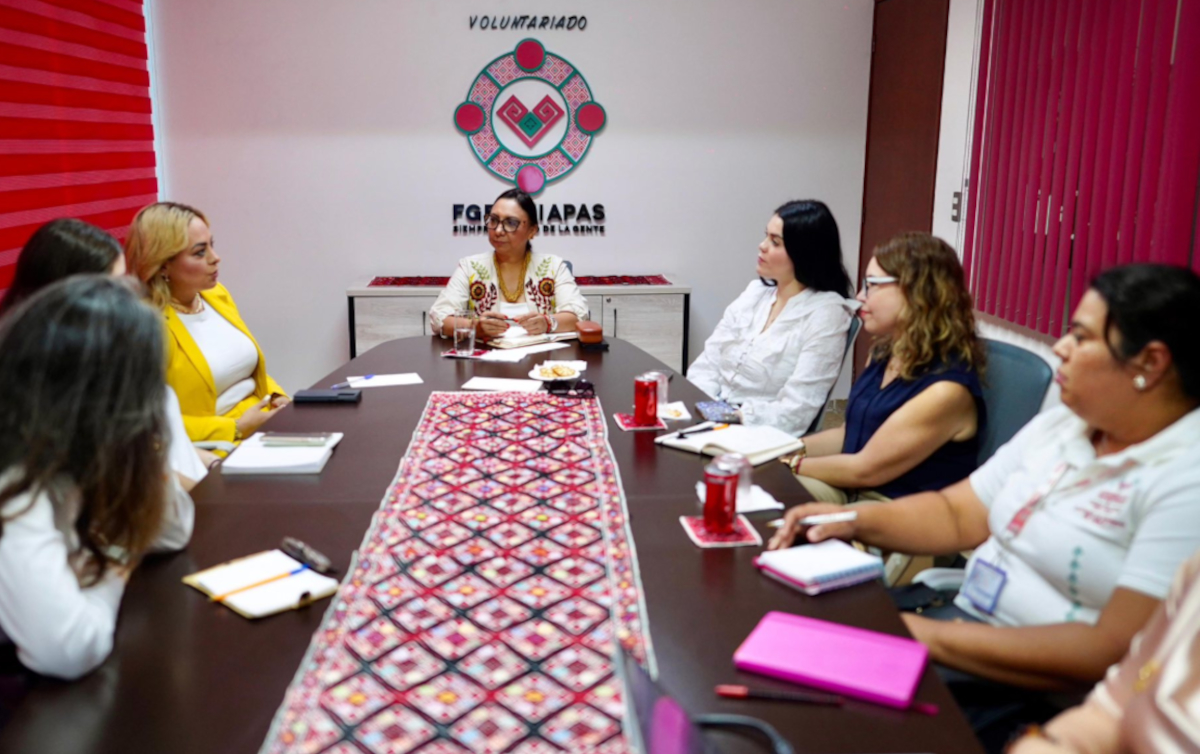 voluntariadosfgessp050825