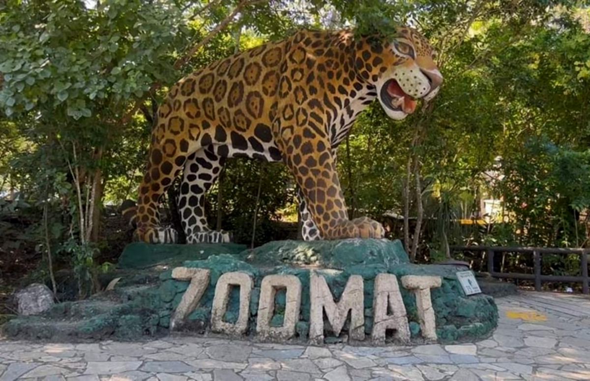 muerejaguarzoomat290925