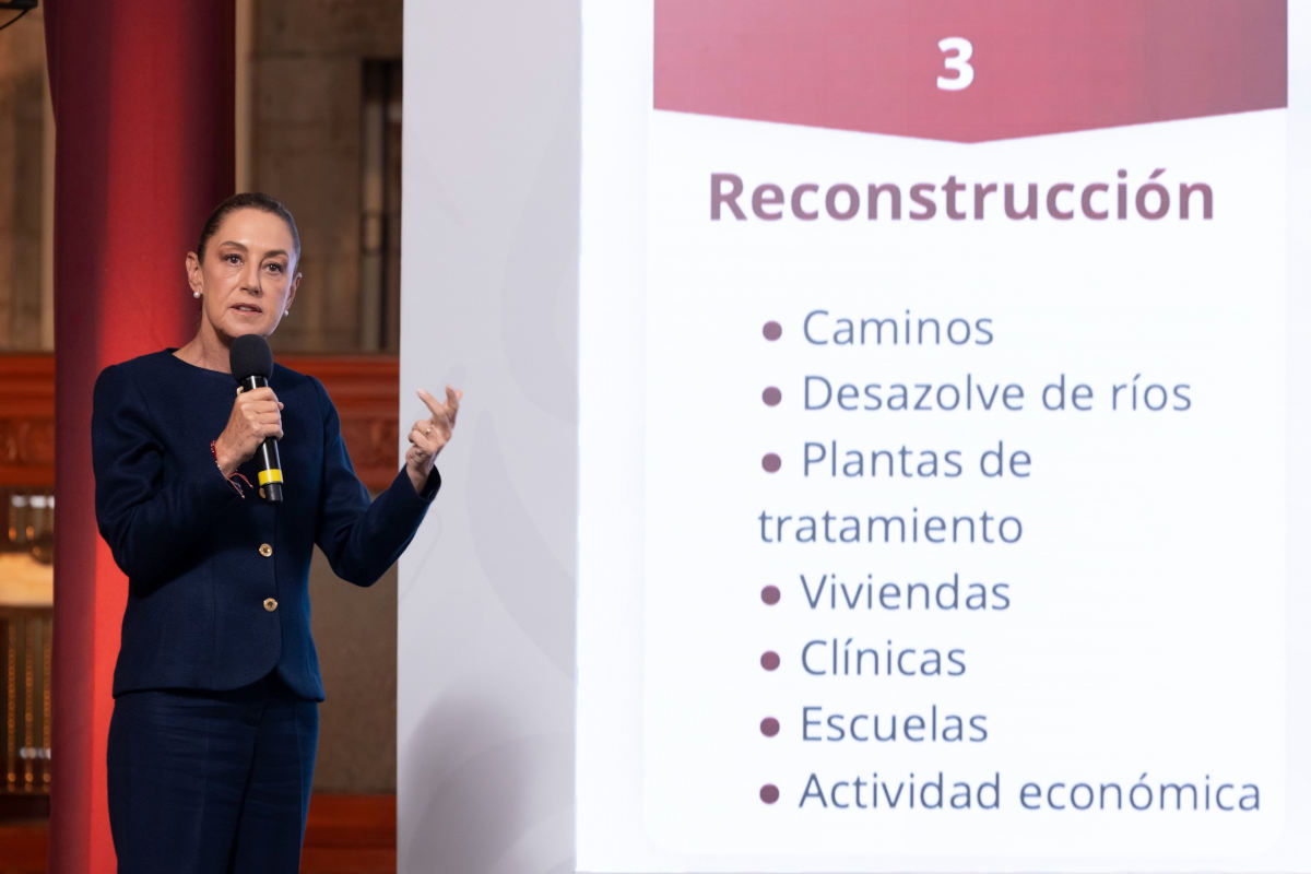 sheindamnificados211025