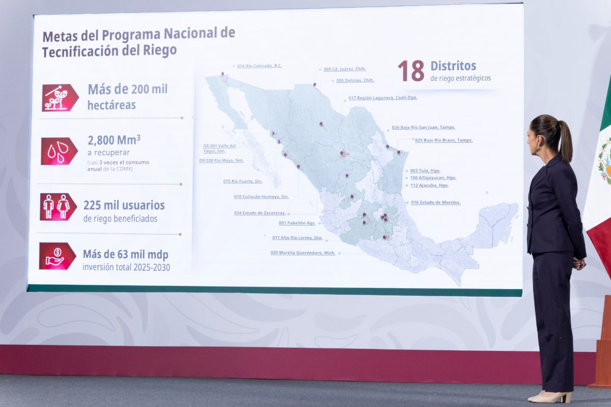 sheintecnificacionriego061125