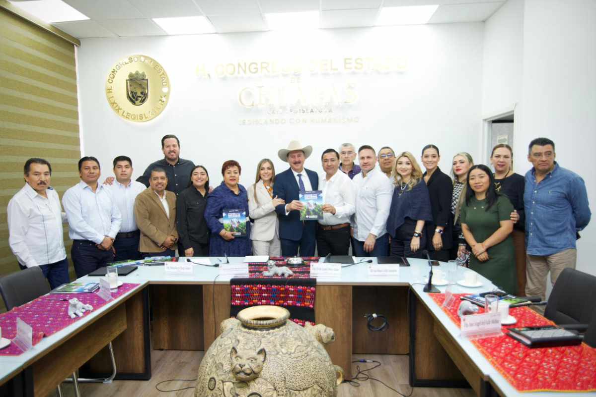 sagypcomparecencia171225