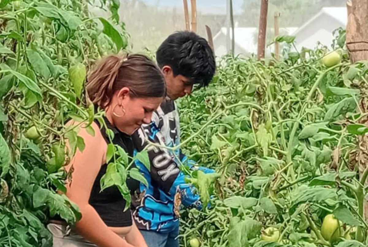 cecytechcarranza130126