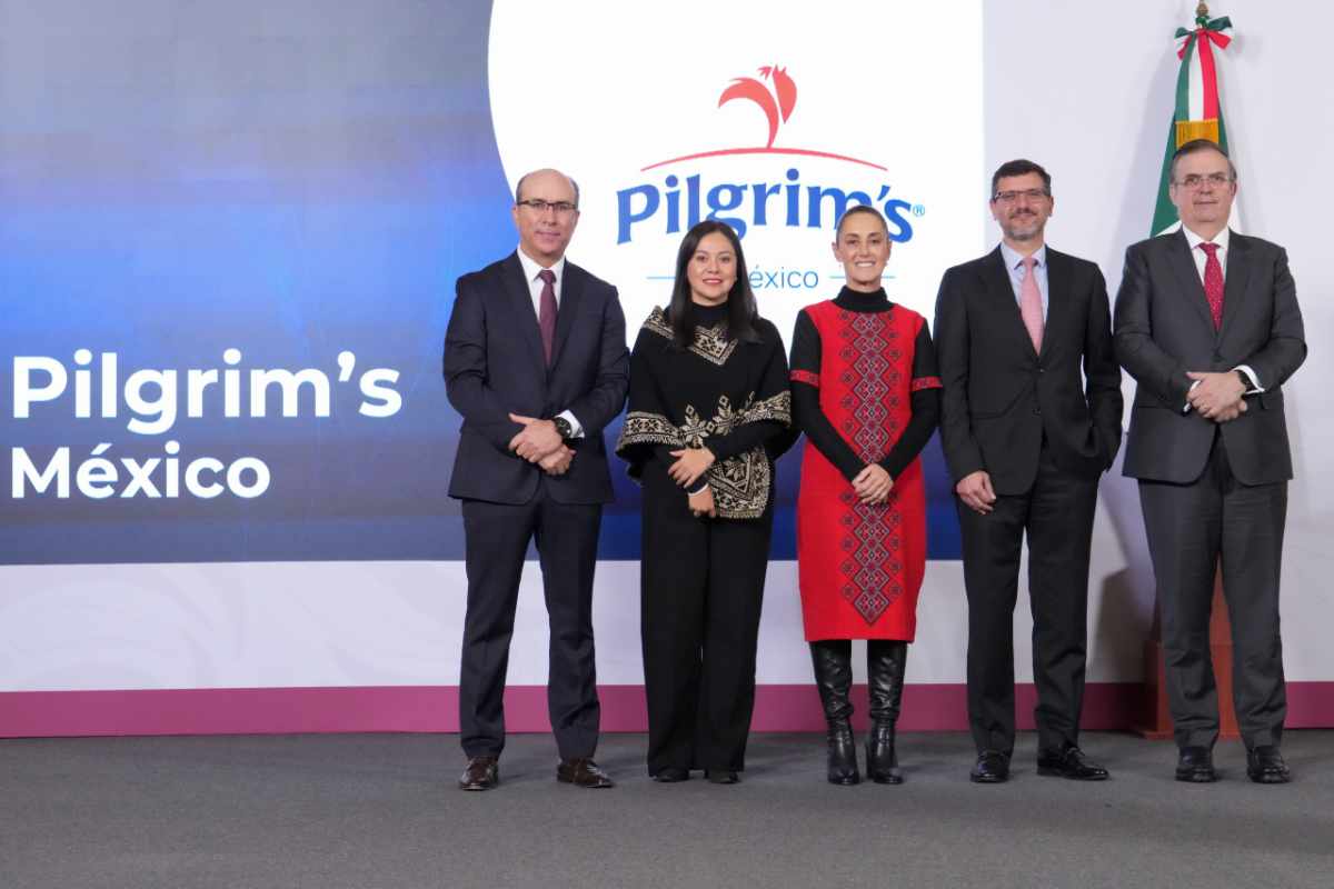 sheinglobalpilgrim160126