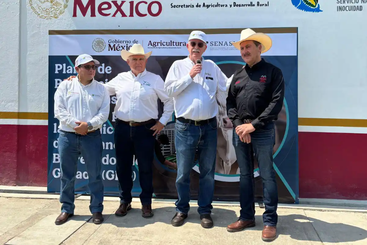 plantagusanobarrenador170226