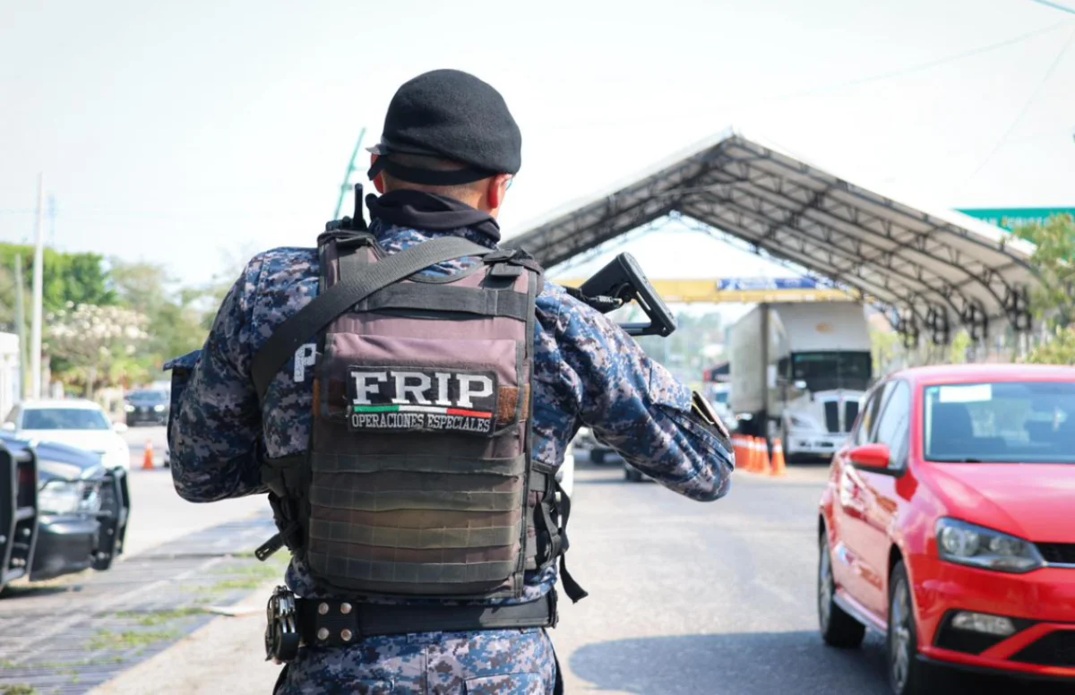 fripdespliegue110326