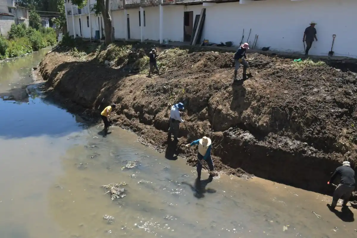 sclclimpiezarios040326