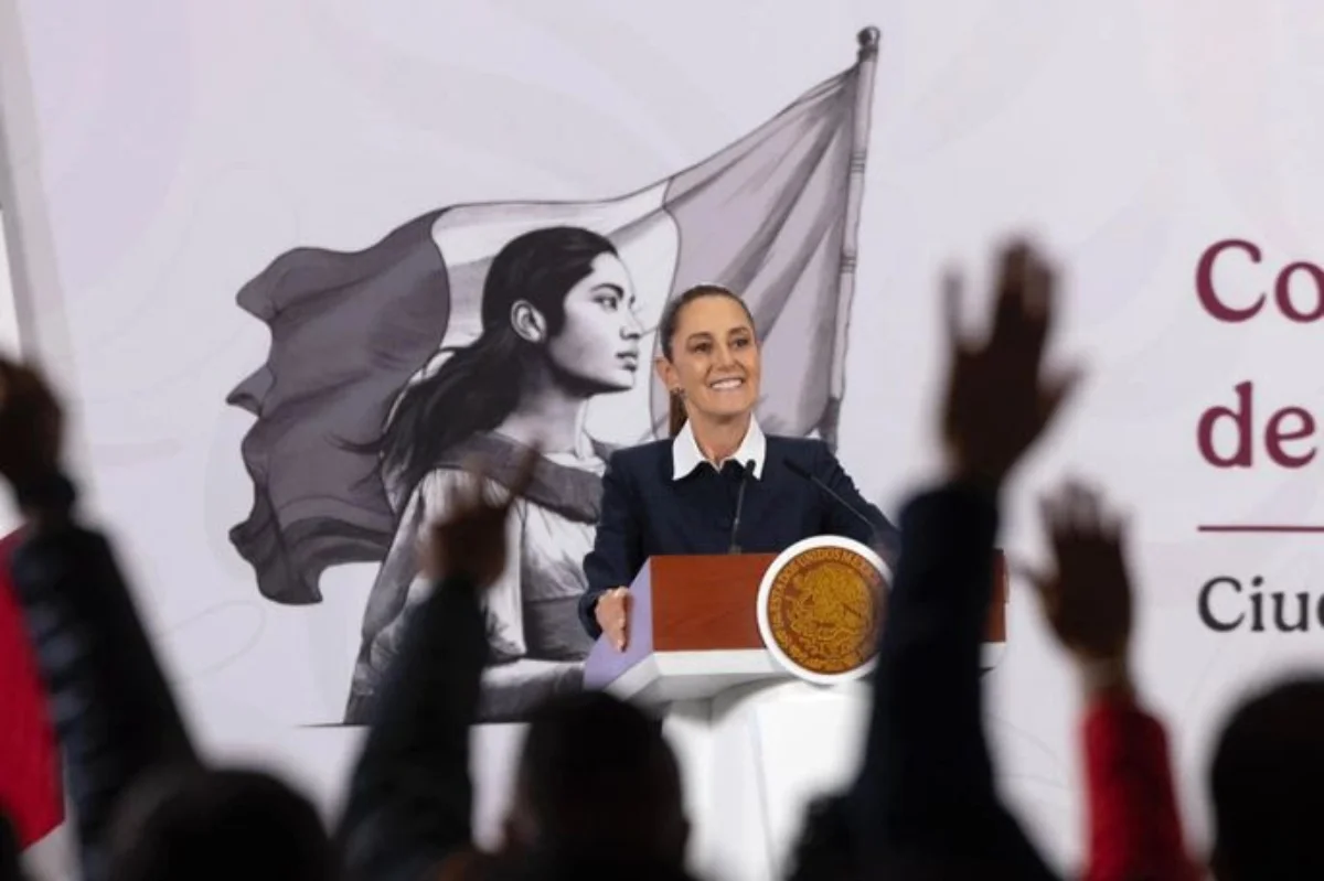 sheinplanbreformaelectoral130326