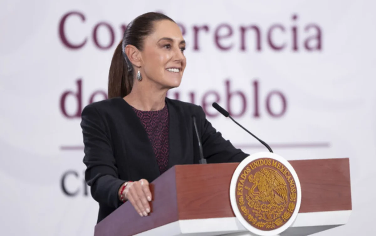 sheinreduchomic110326