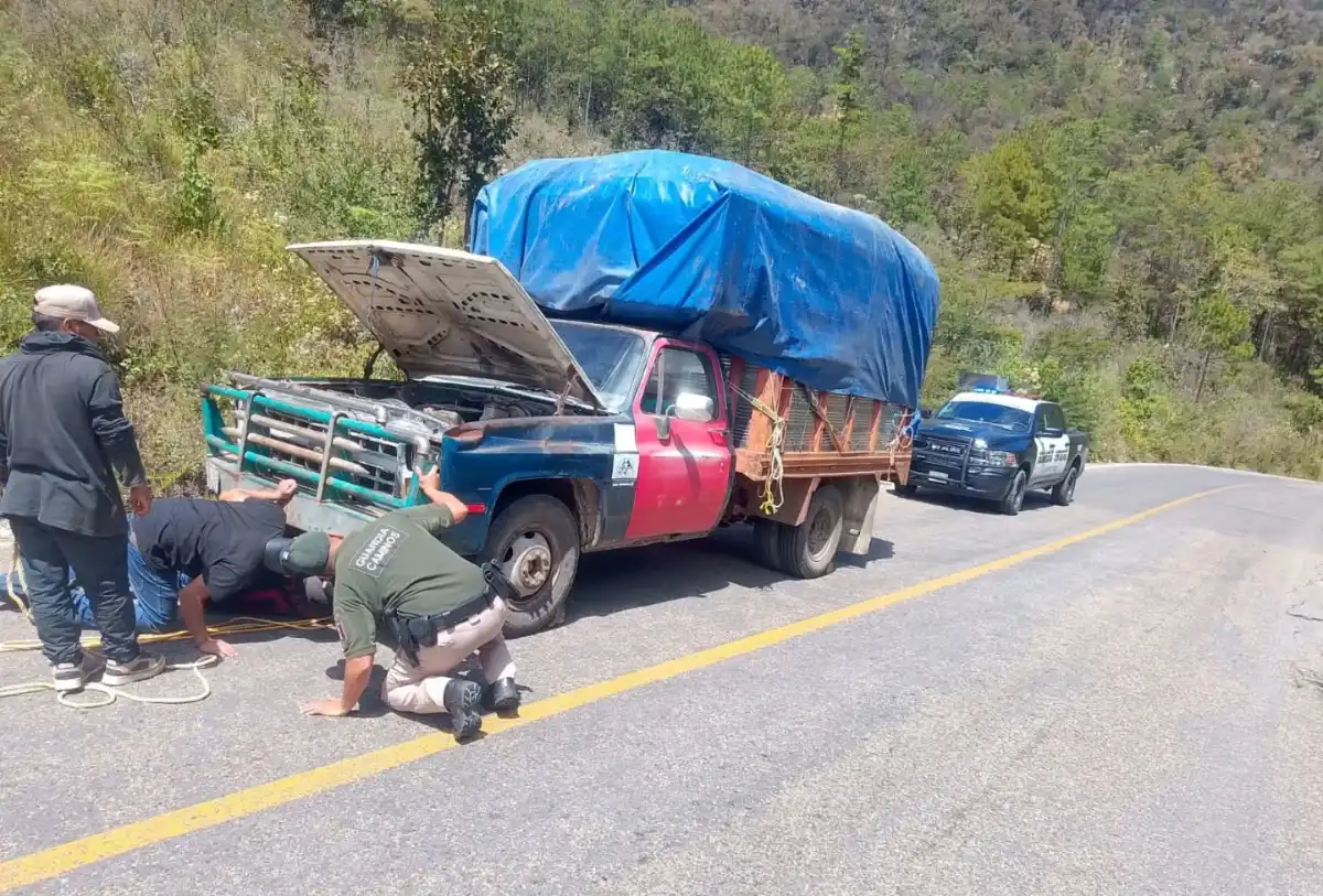 sspapoyosviales110326