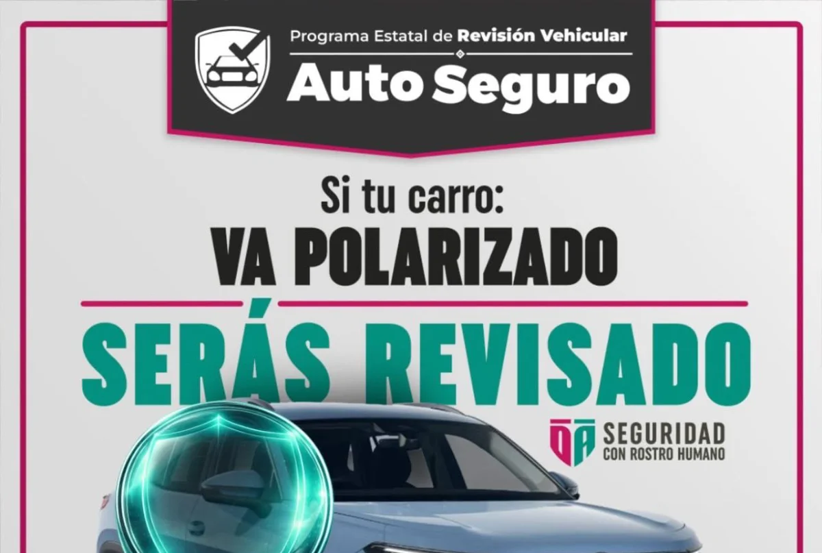 ssprevisionvehiculos090326