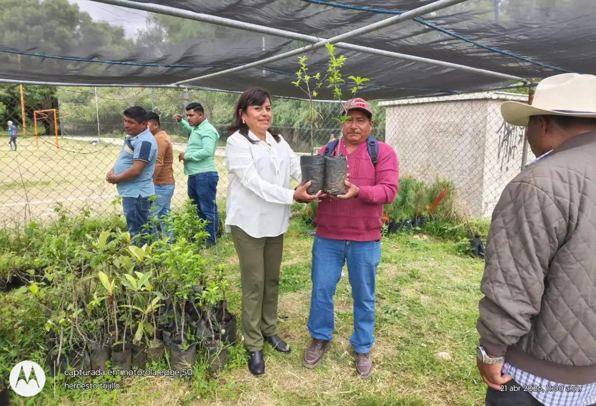 sclcplantasfrutales270426