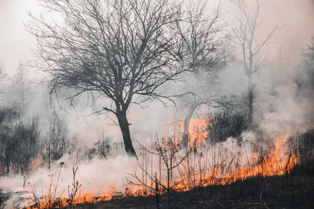 chiscombateincendios050526