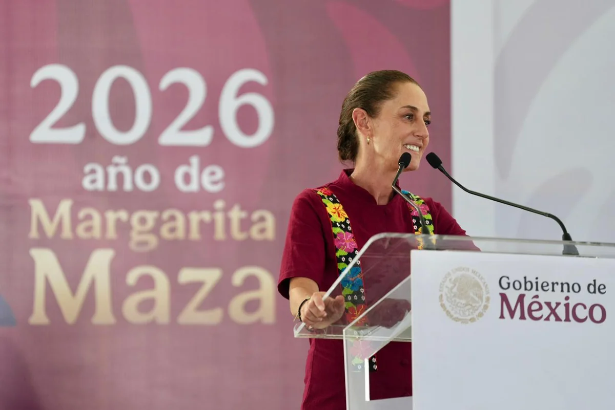 sheinforme31mayo250526