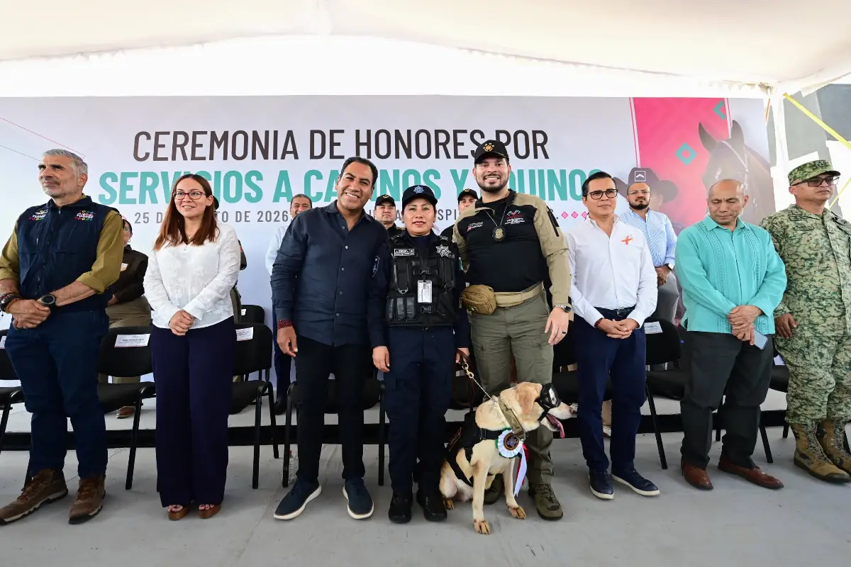erajubcaninossp260826