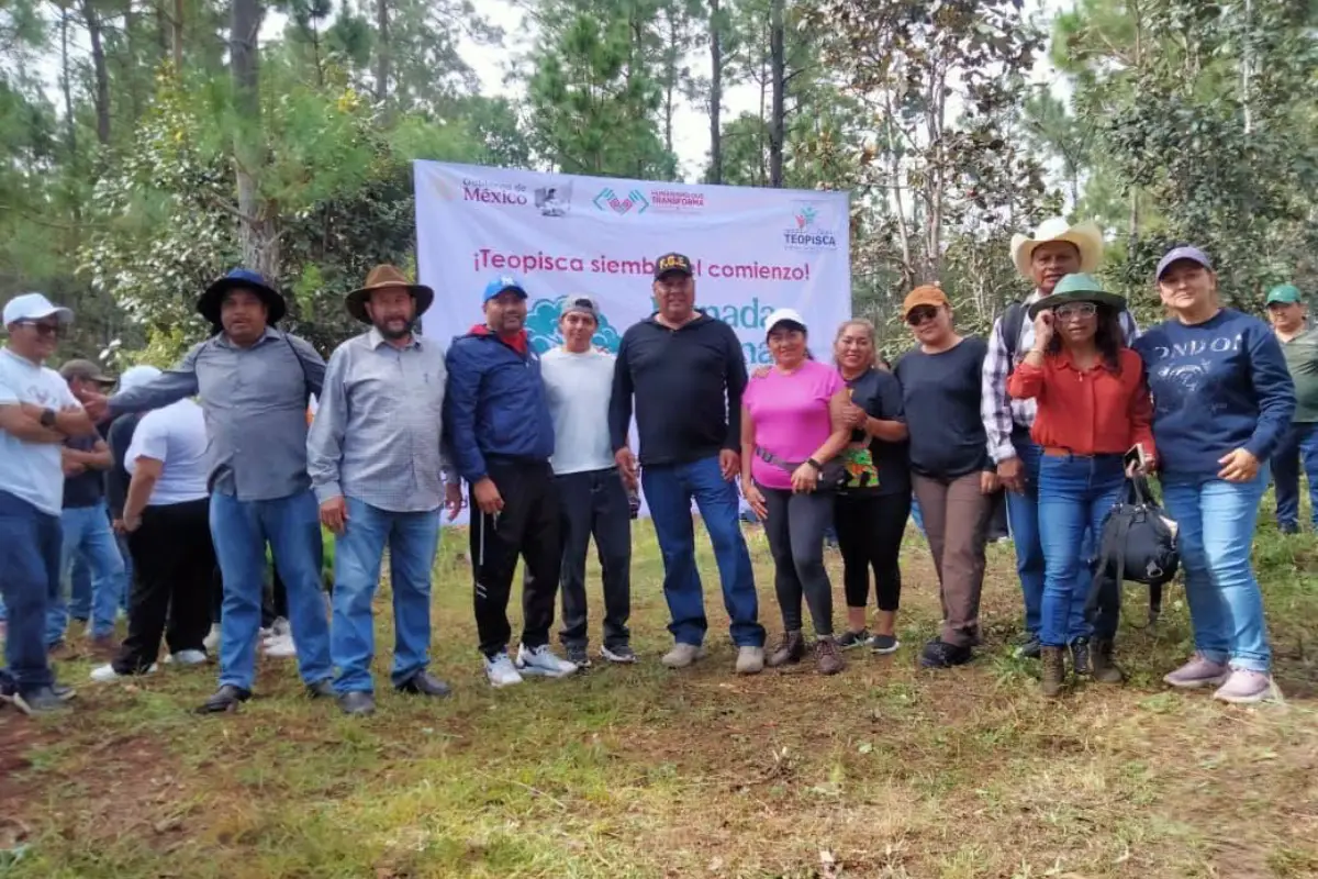 fgereforestacion100826