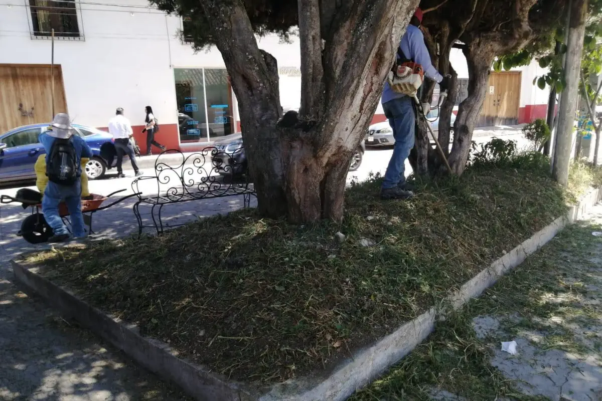 sclcmattocentrohistorico310826