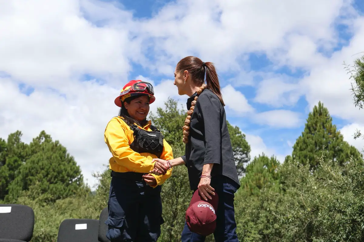 sheinjornadareforest100826